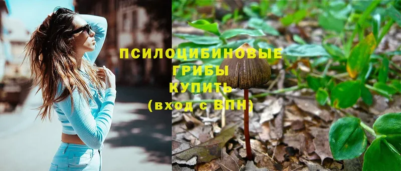 где найти   Лабытнанги  mega ССЫЛКА  Галлюциногенные грибы Psilocybe 